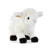 Plush & Co - Kirack le Petit Agneau Peluche 21 cm - Animaux en Peluche